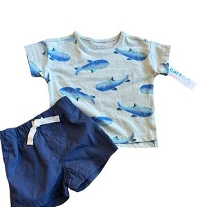 Carter’s 2 piece short outfit. Size 3M